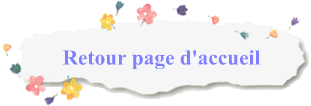 Retour page d'accueil